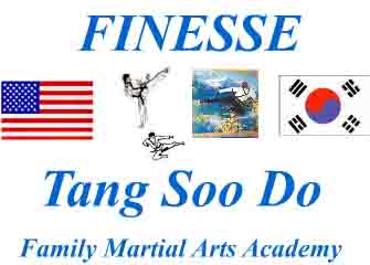 tang soo do